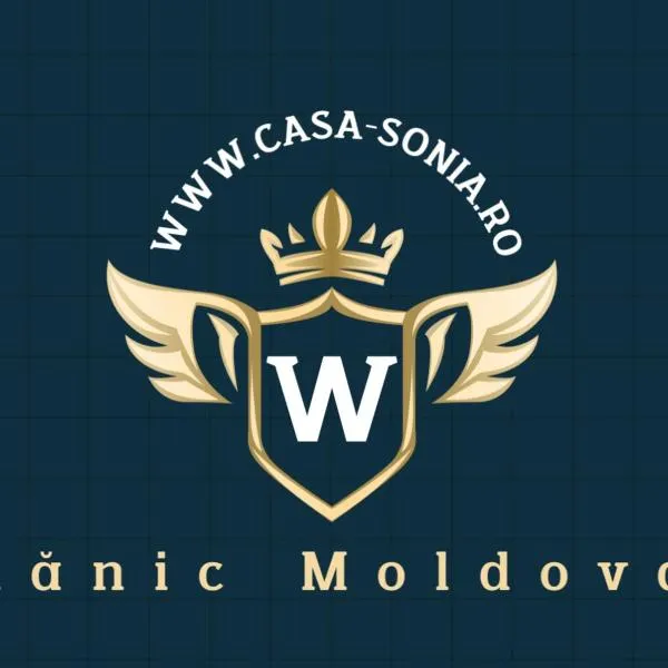 Casa Sonia、スラニク・モルドバのホテル