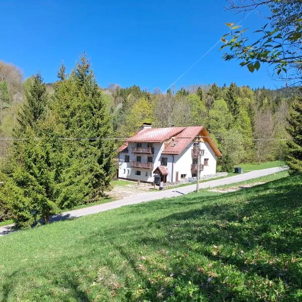 Penzion Zázrifka, hotel a Zázrivá