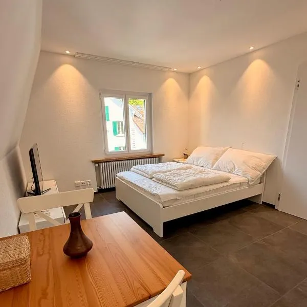 Max Apartments, hotel a Schaffhausen