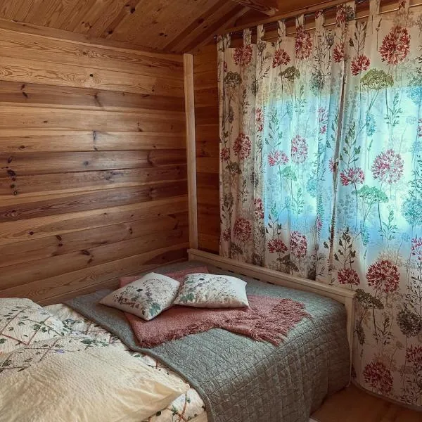 Przytulny Domek na Kaszubach, hotel din Borsk