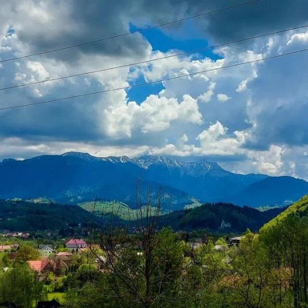 Inspire View - Boutique, hotel a Bran