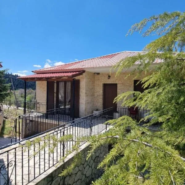 Tsigaridas Mountain Home, hotel in Neokhórion