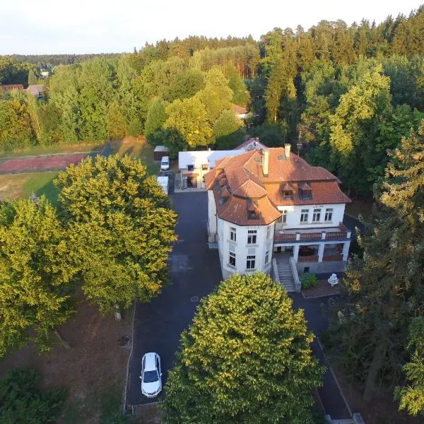 Vila Olga, hotel in Kostelec nad Černými Lesy