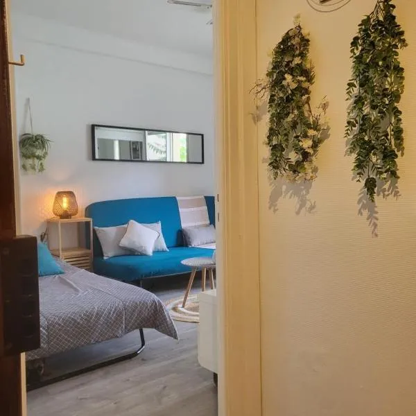 Appartement Juan Les Pins à 2 min de la plage, hotel en Antibes