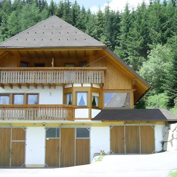 Hinterhauensteinhof, hotel v destinaci Hornberg