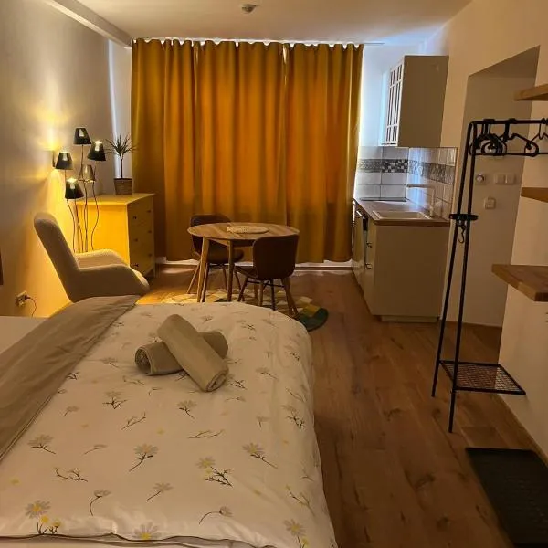 Apartmán Mick Jagger, hotel v Nymburku