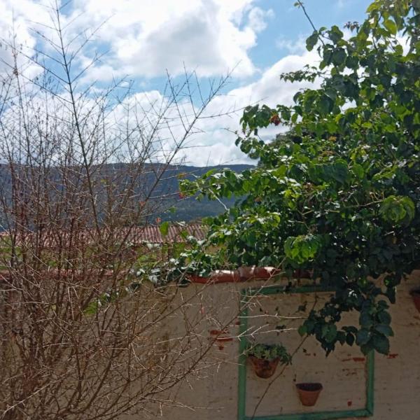 Casa da Bila - Suíte casal - Foto 4