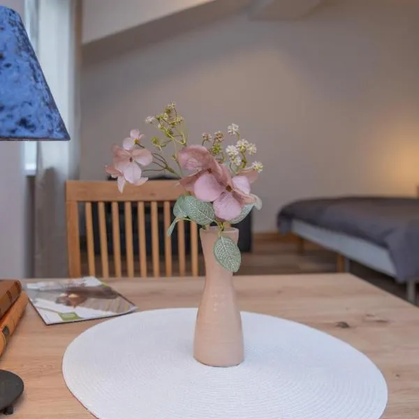 Velora apartments, готель у місті Суботиця