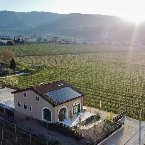 Agriturismo Igino - Valpolicella Wine Escape con vista vigneti e parcheggio gratuito, hotel en Negrar