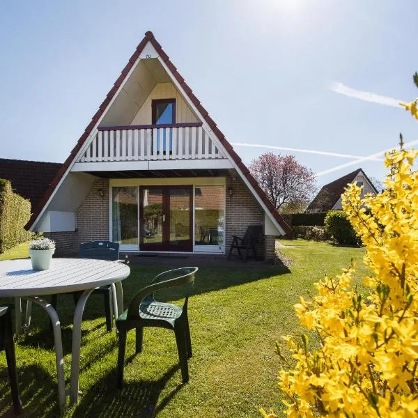 Aalscholver I Nette Vrijstaande Vakantiewoning, hotel en Zwiggelte