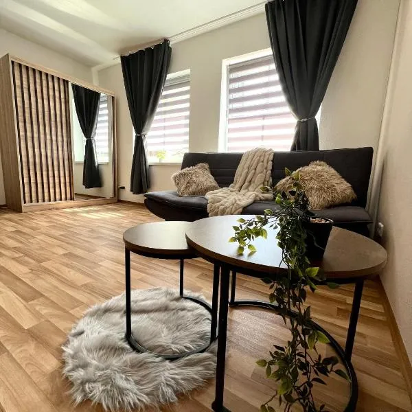 Moderne Wohnung bei BASF, hotel v destinaci Hörlitz
