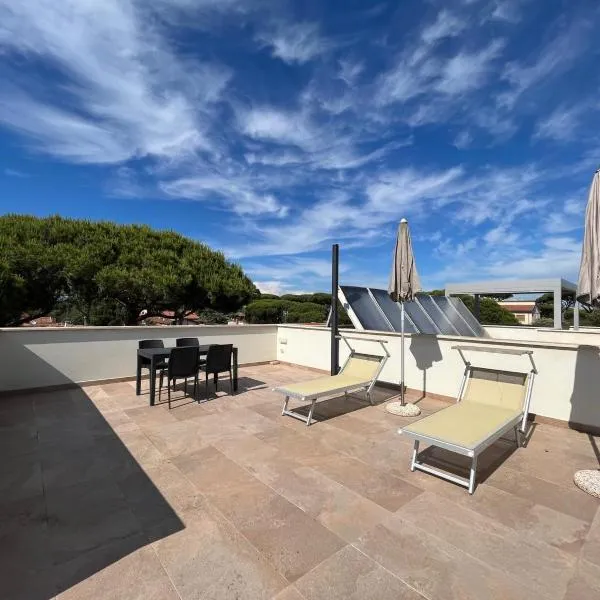 Venere Apartament, hotel in Tirrenia