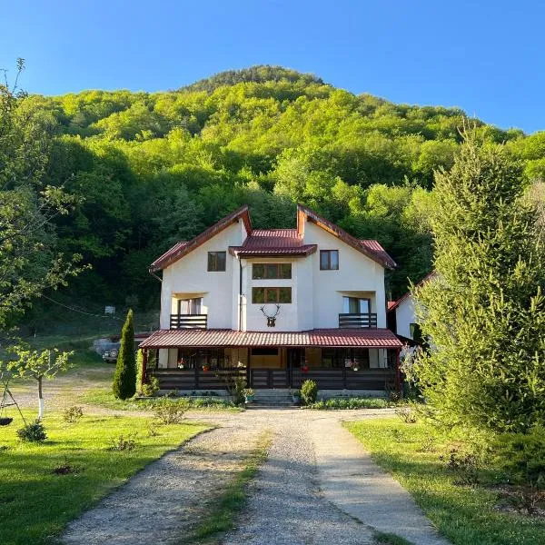 Todi Mansion, khách sạn ở Slănic-Moldova