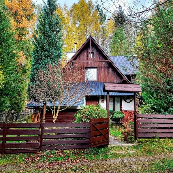 Dom Pod Salamandrą Koninki, Hotel in Poręba Wielka