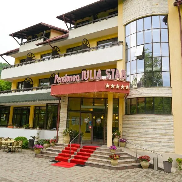 Pensiunea Iulia Star, hotel in Băile Olăneşti