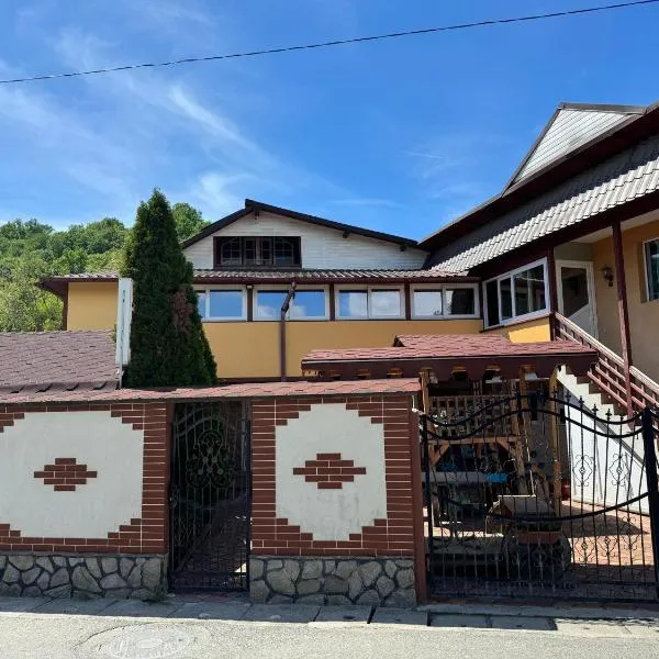 Pensiunea Leo si Georgiana, hotel in Ocnele Mari