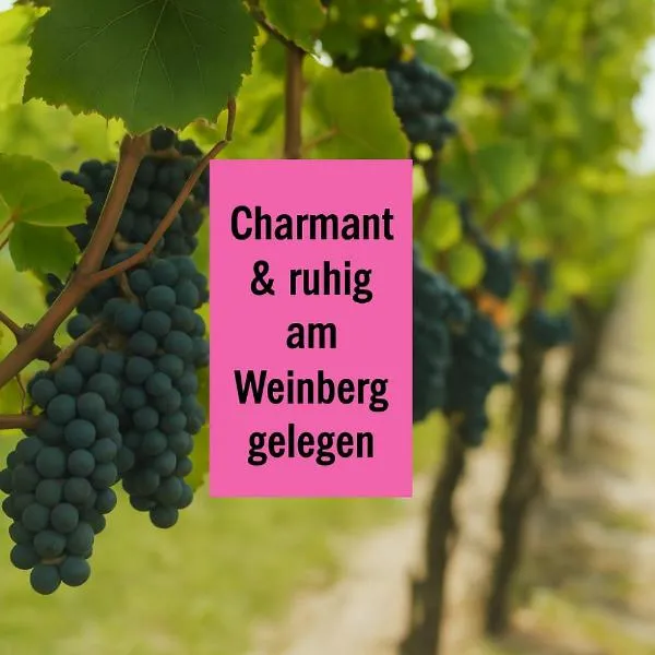 WINETIME - Apartment Roschbach - für bis zu 5 Personen - idyllisch an den Weinbergen der südlichen Weinstraße zwischen Landau und Neustadt gelegen,Roschbach的飯店