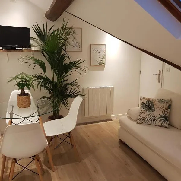 Appartement Le 5ème Ducis, hotel in Versailles