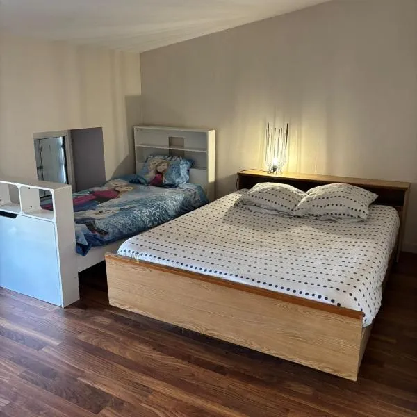 Grand appartement pour 4 à 5 personnes maximum, hotel em Chef-Boutonne