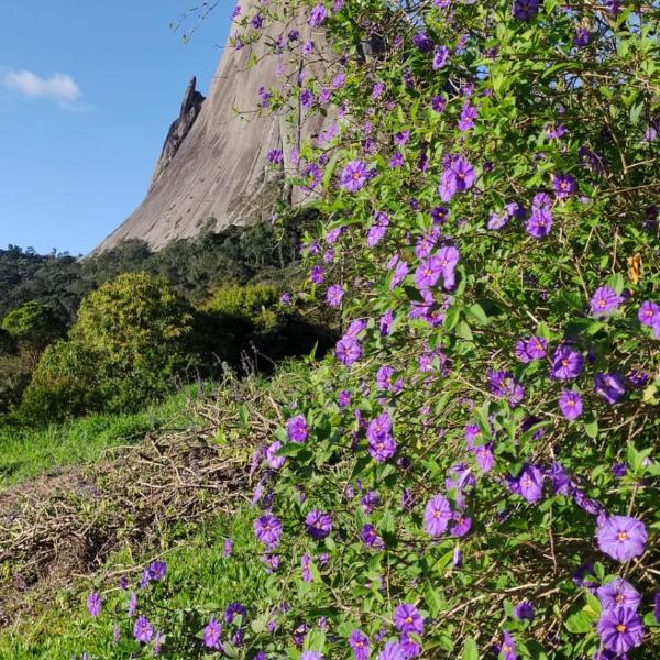 Casa Observatório Canto da Pedra - Pedra Azul, ES - Foto 3