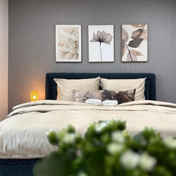 Apartmány Klement, hotel in Znojmo