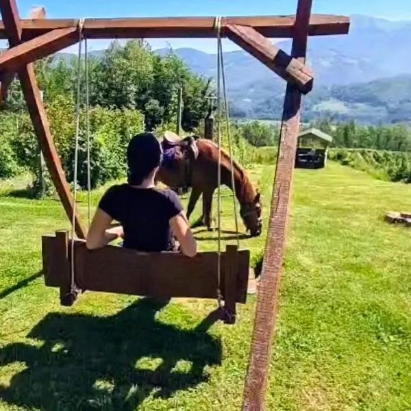 Kolibe Ćorić, hotel v destinaci Mojkovac