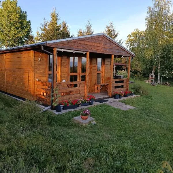 Domek letniskowy Radomice，Wleń的飯店