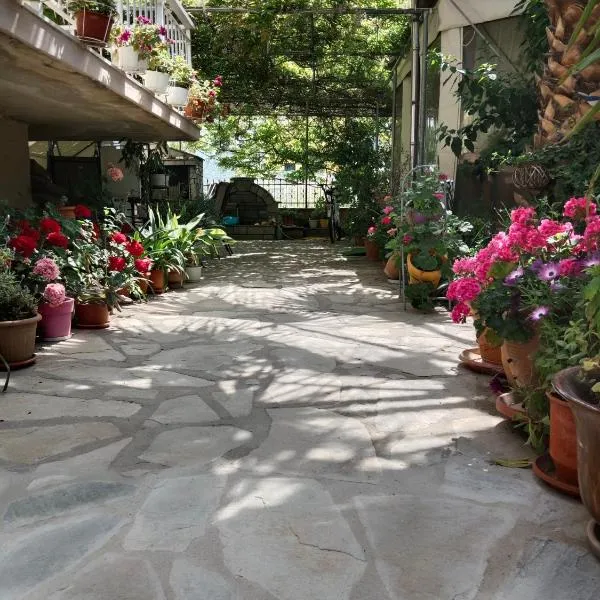 Patra Rooms Skala Prinou, hotel v destinaci Prinos
