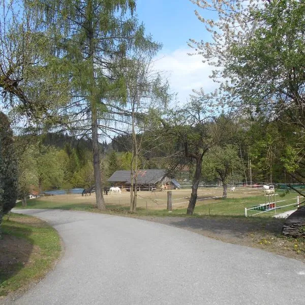 Haus Maria, hotel in Bad Bleiberg