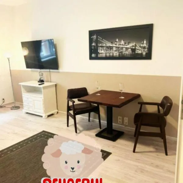 SchaeBu! Apartment 4 Zentral Am Altmarkt, Hotel in Cottbus