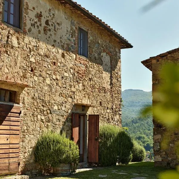 Agriturismo Il Pozzo, hotel i Greve in Chianti