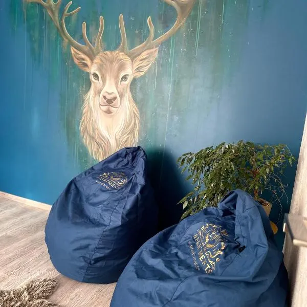 Люкс апартаменти «Д.І.М.», hotel a Kamianets-Podilskyi