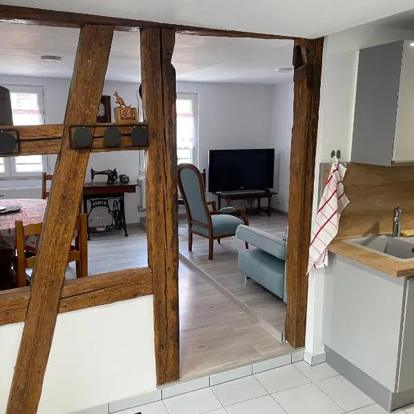 Le 1470 Appart 4 personnes Sélestat centre historique Alsace centrale, hotel in Sélestat