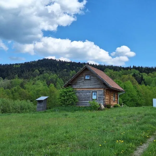 Zacisze Babci Ludwisi w Beskidzie Niskim, hotel v destinaci Wyskitna