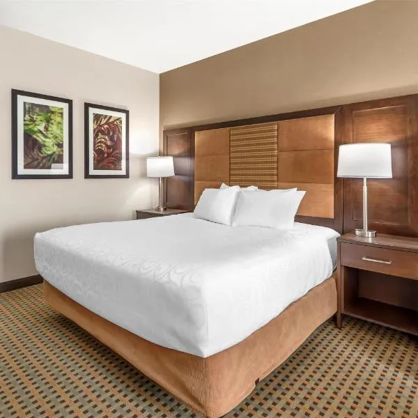 Best Western Plus Hinton Inn & Suites，欣頓的飯店