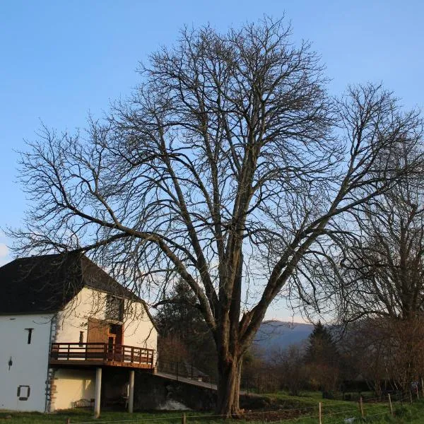 Grange KANDERATZEA, hotel em Tardets-Sorholus
