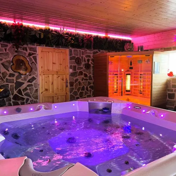 Wellness Apartment Medusa, hotel a Hamr na Jezeře