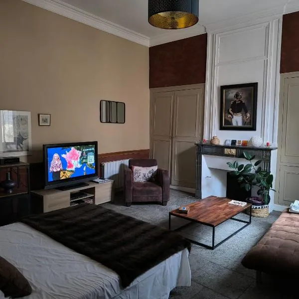 Appartement centre ville NIMES, hotel in Nîmes