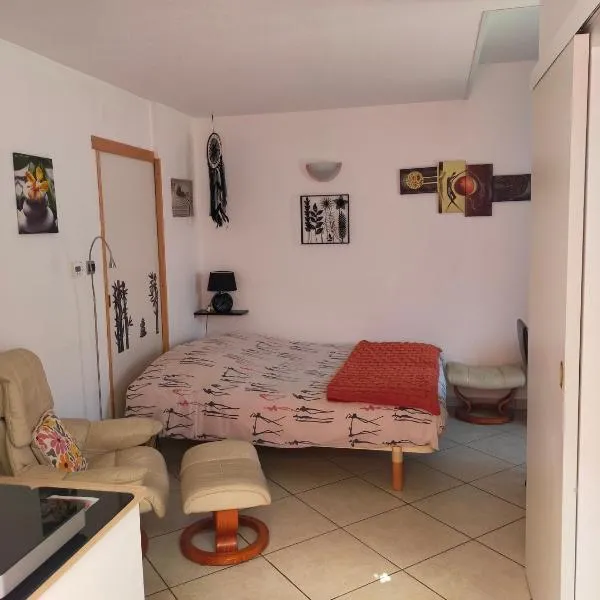 STUDIO ST GREGOIRE Au Pied des Vosges et Vignoble !, hotel v destinaci Munster