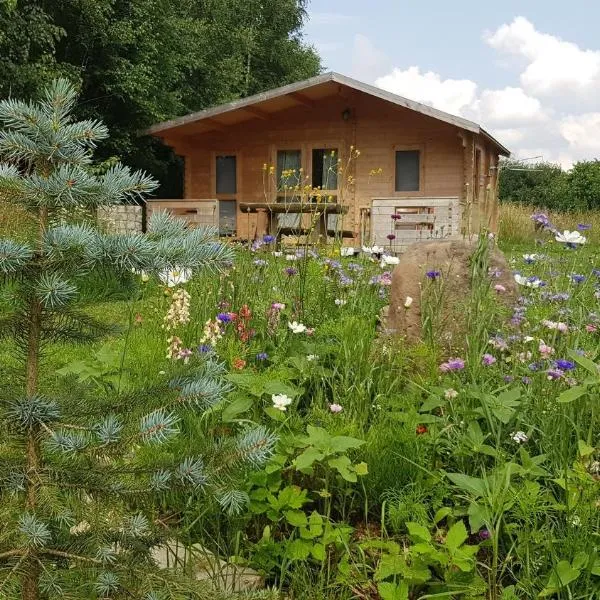 Domki pod Brzózkami, hotel v destinaci Vambeřice