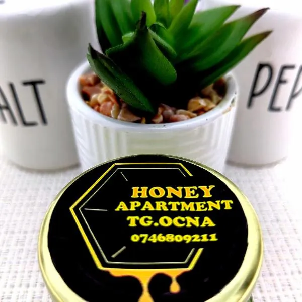 Honey apartment, hotel in Tîrgu Ocna