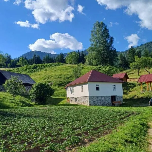 Seosko domaćinstvo Desin Do, hotel v destinácii Berane