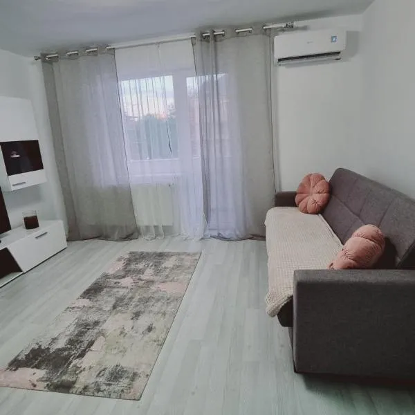 Apartament central pe pietonala nr2, hotel u gradu 'Hunedoara'