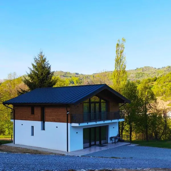EDEN HOUSE Viseu de Sus, hotel in Vişeu de Sus