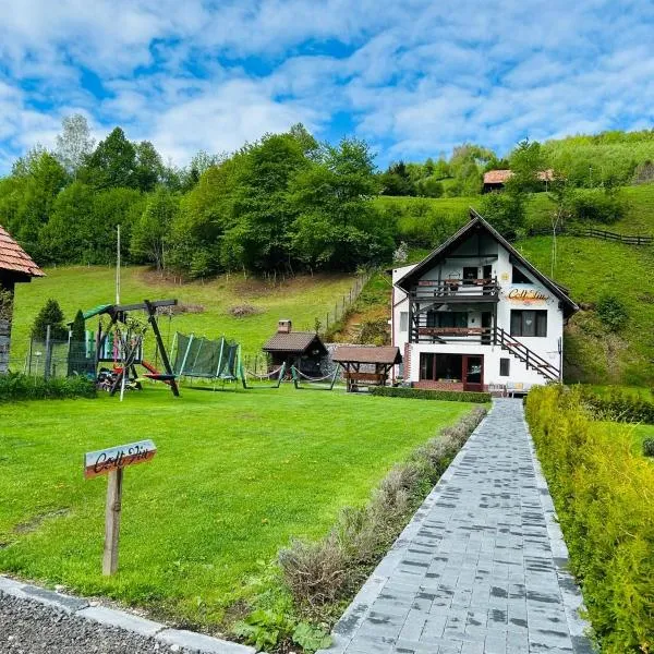 Colț Viu Cabana, hotel di Bran