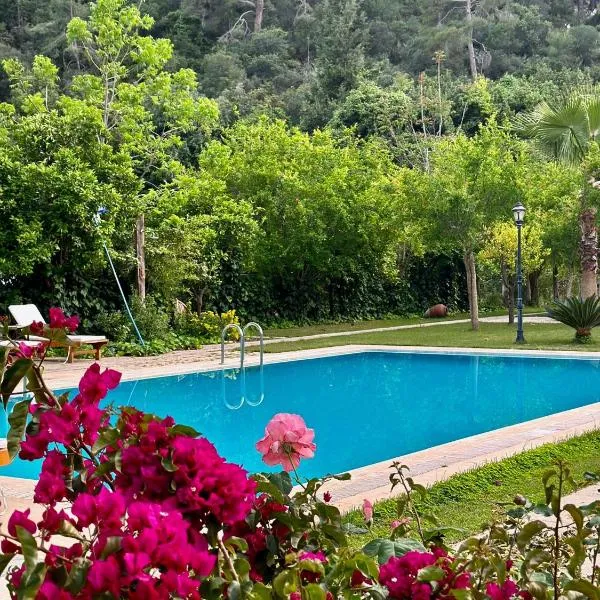 Sedir Palas, hotel in Cıralı