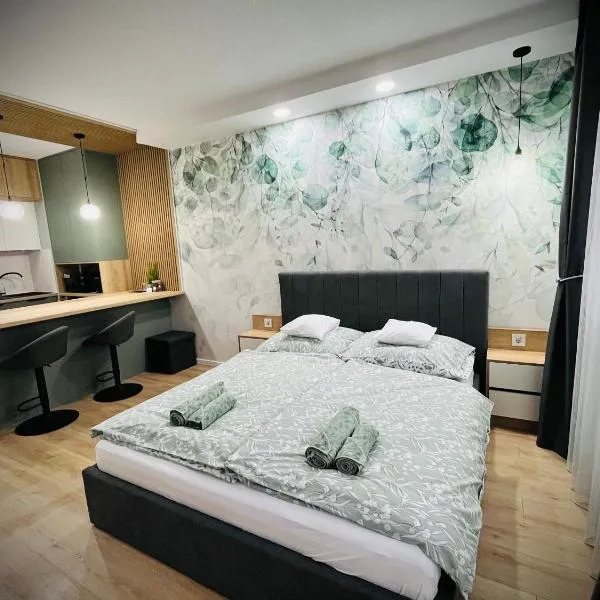 Sugo Studio Apartman – hotel w mieście Baja