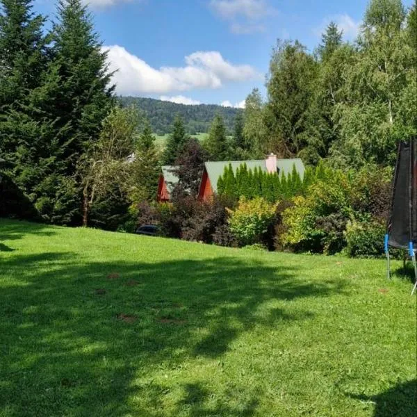 Domki pod Kiczerą w Baligrodzie, Bieszczady, hotel in Baligród