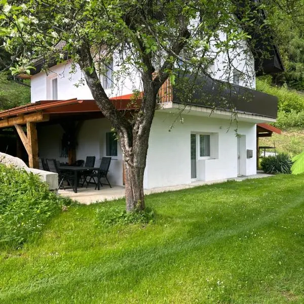 Apartments Barbra - Robinson life, hotel in Slovenj Gradec