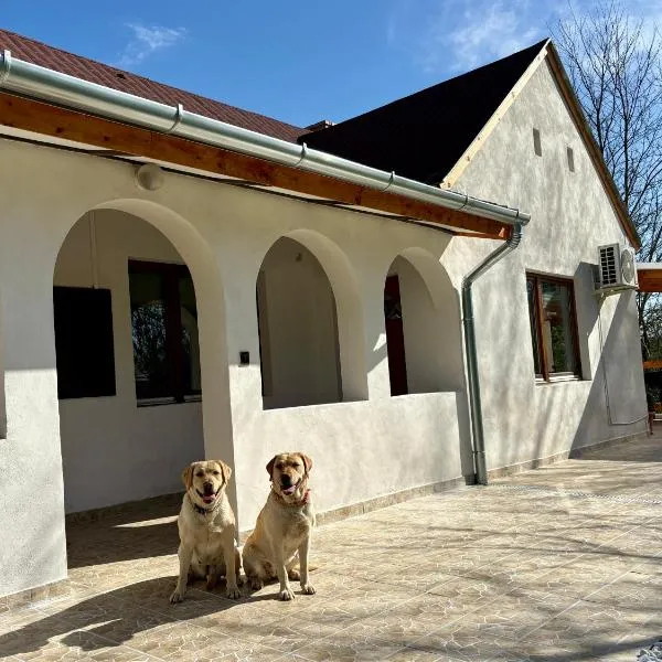 Sárffy Vendégház, hotel v destinaci Szőce